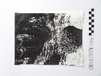 藏品(黃則修攝野柳地景蜂窩岩)的圖片