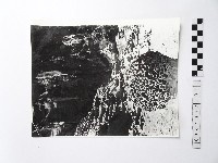 藏品(黃則修攝野柳地景蜂窩岩)的圖片