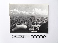 藏品(黃則修攝野柳地景燭臺石)的圖片