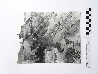 藏品(黃則修攝野柳地景)的圖片