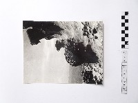 藏品(黃則修攝野柳地景)的圖片