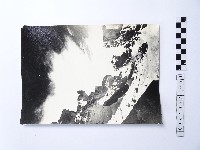 藏品(黃則修攝野柳地景)的圖片