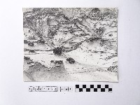 藏品(黃則修攝野柳地景)的圖片