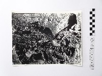 藏品(黃則修攝野柳地景)的圖片