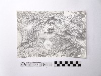 藏品(黃則修攝野柳地景)的圖片