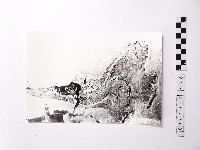 藏品(黃則修攝野柳地景黑面觀音)的圖片