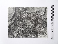 藏品(黃則修攝野柳地景)的圖片