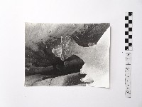 藏品(黃則修攝野柳地景)的圖片