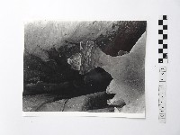 藏品(黃則修攝野柳地景)的圖片