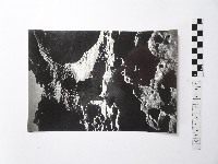 藏品(黃則修攝野柳地景)的圖片