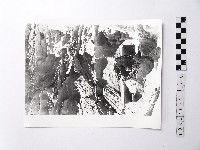 藏品(黃則修攝野柳地景)的圖片