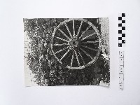 藏品(黃則修攝菜宅與牛車輪)的圖片