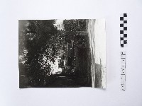 藏品(黃則修攝有後花園構造的許家村豪宅)的圖片