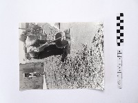 藏品(黃則修攝戴著斗笠的婦人)的圖片