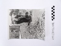 藏品(黃則修攝戴著斗笠的婦人)的圖片