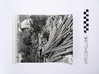 藏品(黃則修攝張百萬故居的修葺)的圖片