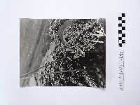 藏品(黃則修攝籮筐內的高粱)的圖片