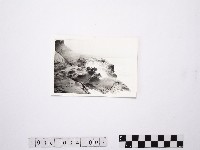 藏品(黃則修攝野柳地景燭臺石)的圖片