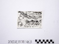 藏品(黃則修攝野柳地景)的圖片