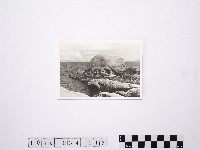 藏品(黃則修攝野柳地景)的圖片