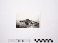 藏品(黃則修攝野柳地景)的圖片