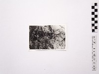 藏品(黃則修攝野柳地景)的圖片