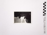 藏品(黃則修攝野柳地景)的圖片