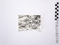 藏品(黃則修攝野柳地景)的圖片
