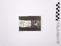 藏品(黃則修攝野柳地景)的圖片