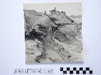 藏品(黃則修攝野柳地景)的圖片