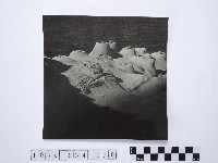 藏品(黃則修攝野柳地景燭臺石)的圖片