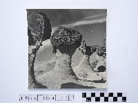 藏品(黃則修攝野柳地景)的圖片