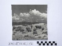 藏品(黃則修攝野柳地景)的圖片