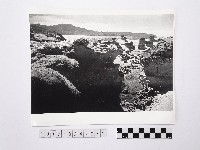 藏品(黃則修攝野柳地景)的圖片