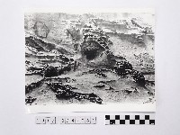 藏品(黃則修攝野柳地景)的圖片