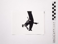 藏品(黃則修攝舞者許惠美2)的圖片