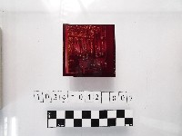 藏品(黃則修攝供桌)的圖片