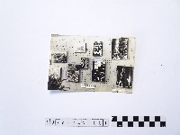 藏品(黃則修攝龍山寺系列照片民國五十年展覽會佈展樣版1)的圖片