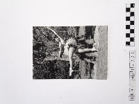 藏品(黃則修攝蔡瑞月舞蹈社助教方淑媛)的圖片