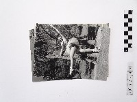 藏品(黃則修攝蔡瑞月舞蹈社系列照片)的圖片