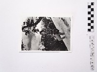 藏品(黃則修攝女藝人江霞1)的圖片