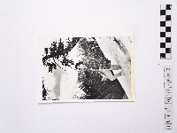 藏品(黃則修攝女藝人江霞2)的圖片