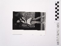 藏品(黃則修攝女藝人鄧麗君4)的圖片