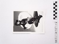 藏品(黃則修攝女藝人王祥齡1)的圖片