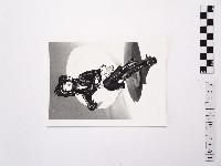 藏品(黃則修攝女藝人王祥齡2)的圖片