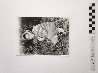 藏品(黃則修攝女藝人江霞)的圖片