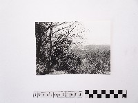 藏品(黃則修攝陽明山風景2)的圖片