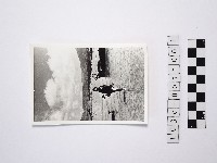 藏品(黃則修攝一名女性)的圖片