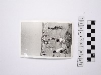 藏品(黃則修攝戲水的孩童)的圖片