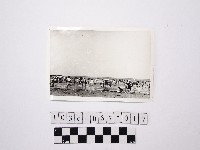 藏品(黃則修攝戲水群眾5)的圖片